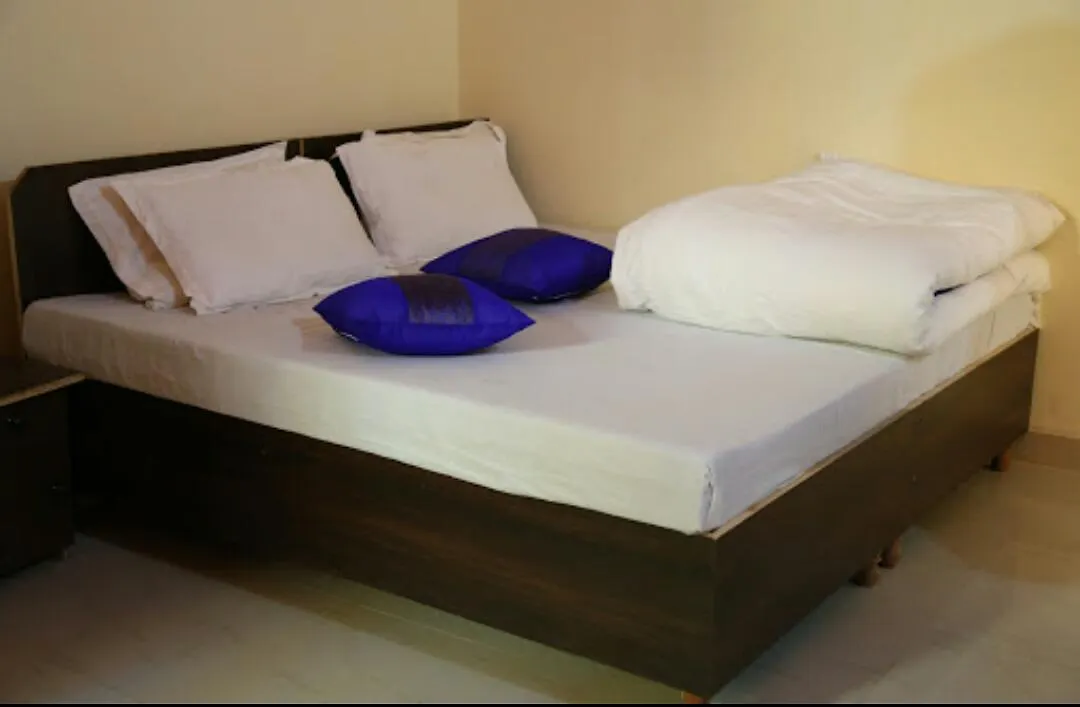 Hotel Dream Palace New Delhi
